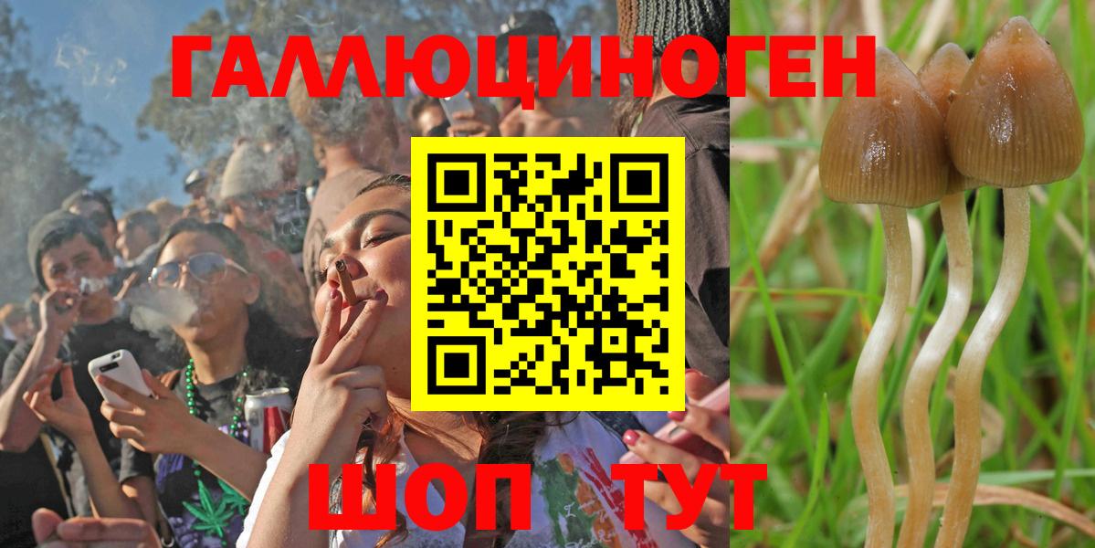 Псилоцибиновые грибы прущие грибы  Вход с VPN  Кольчугино 